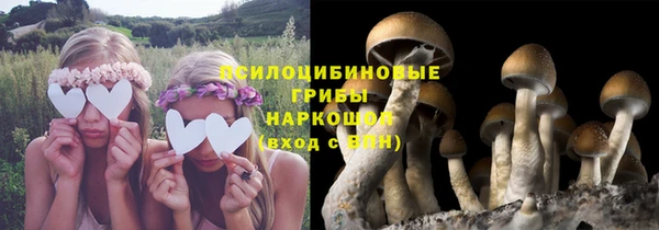 соль ск Верея