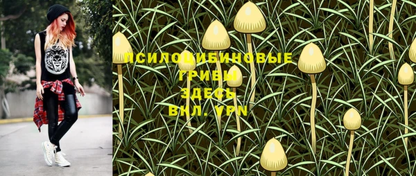 трава Верхний Тагил
