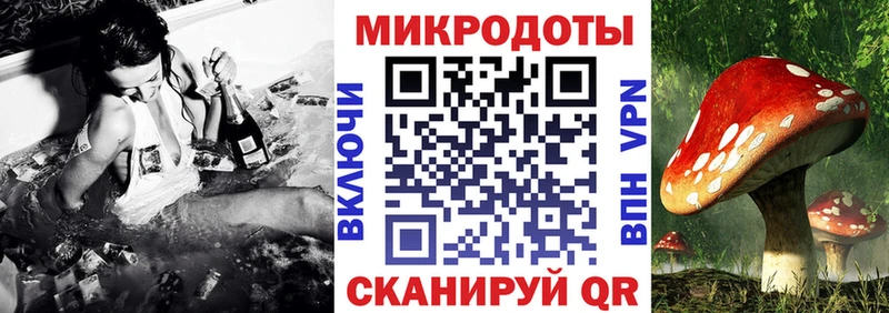 Купить  Кяхта  Галлюциногенные грибы Magic Shrooms 