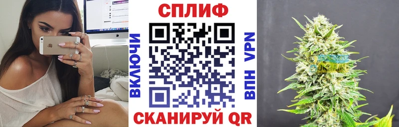 МАРИХУАНА ГИДРОПОН  Купить где  Кяхта 
